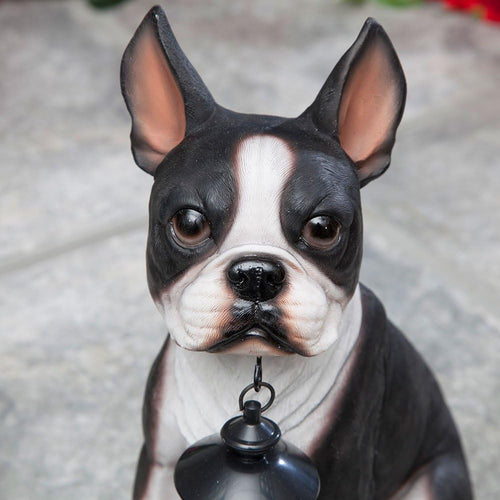 Boston Terrier Solar Lantern Statue