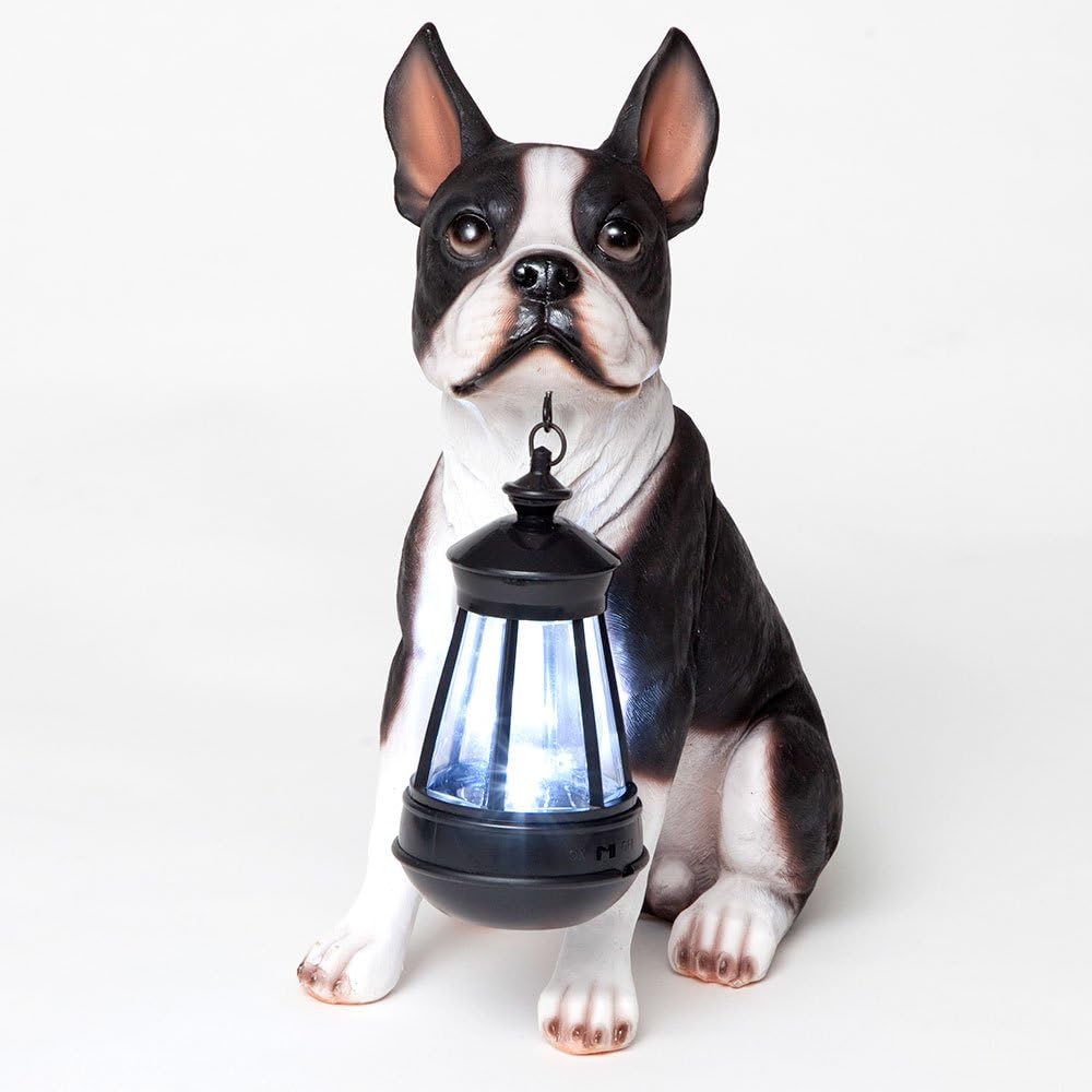 Boston Terrier Solar Lantern Statue