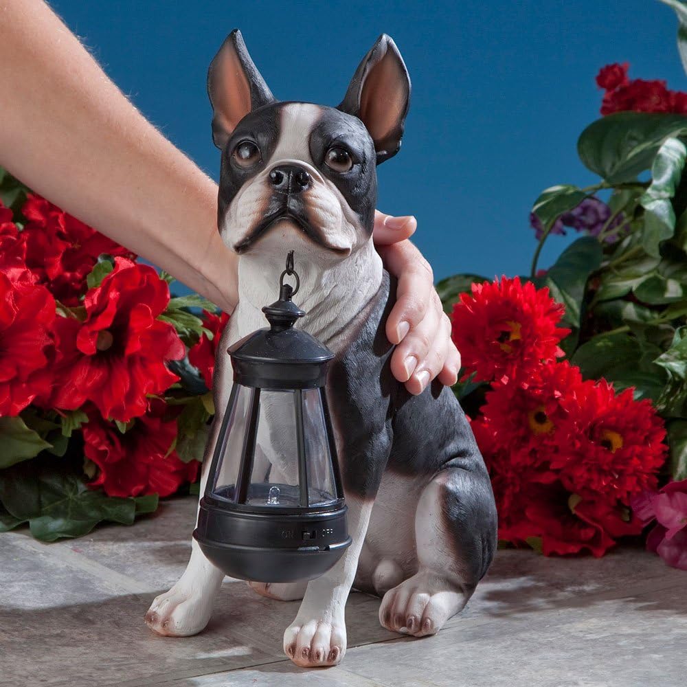 Boston Terrier Solar Lantern Statue