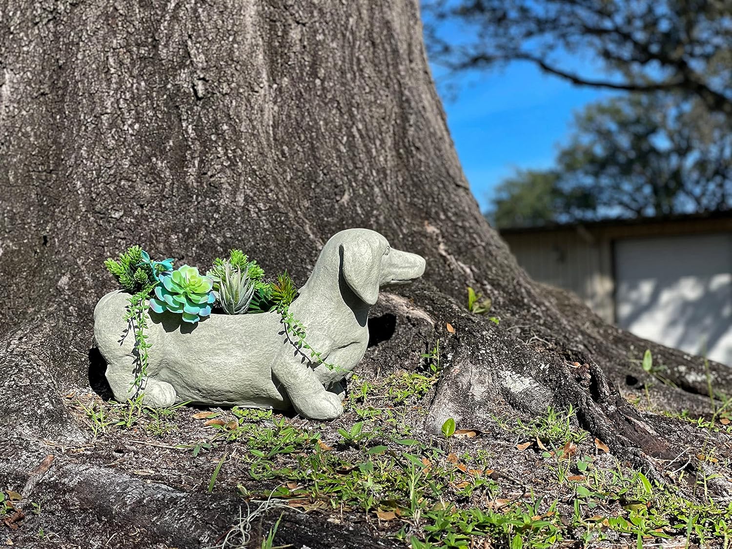 Dachshund Dog Planter Stone Finish